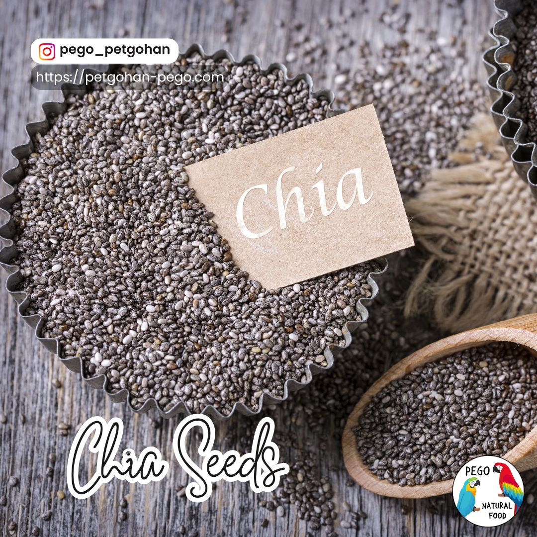 A close-up photo of chia seeds. Featured as a superfood rich in omega-3 fatty acids, dietary fiber, calcium, iron, and antioxidants, supporting gut health, digestion, and the skin and feathers of birds.