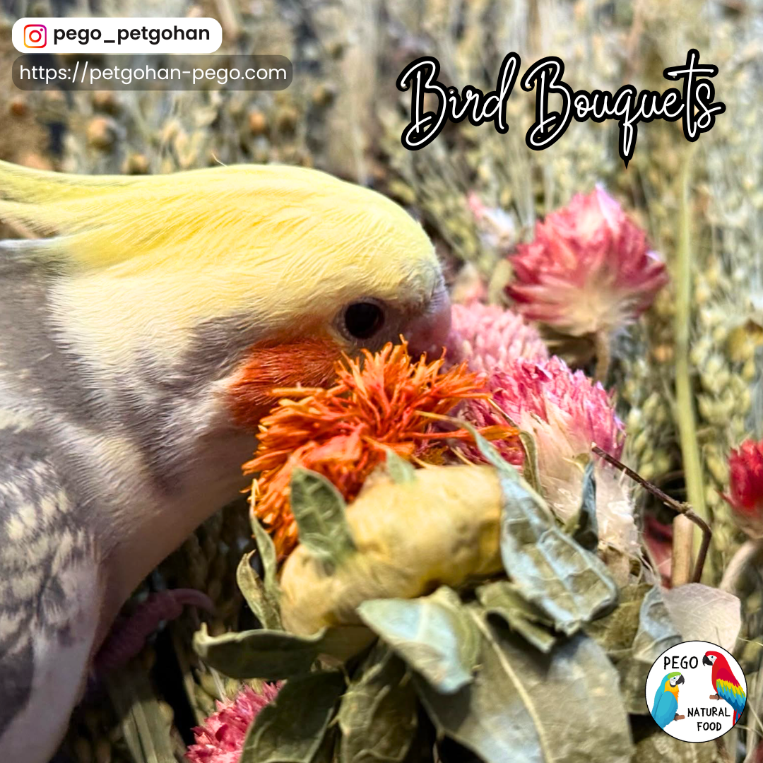 Cockatiel exploring a Bird bouquet with dried flowers and botanicals for Parrot foraging and natural feeding