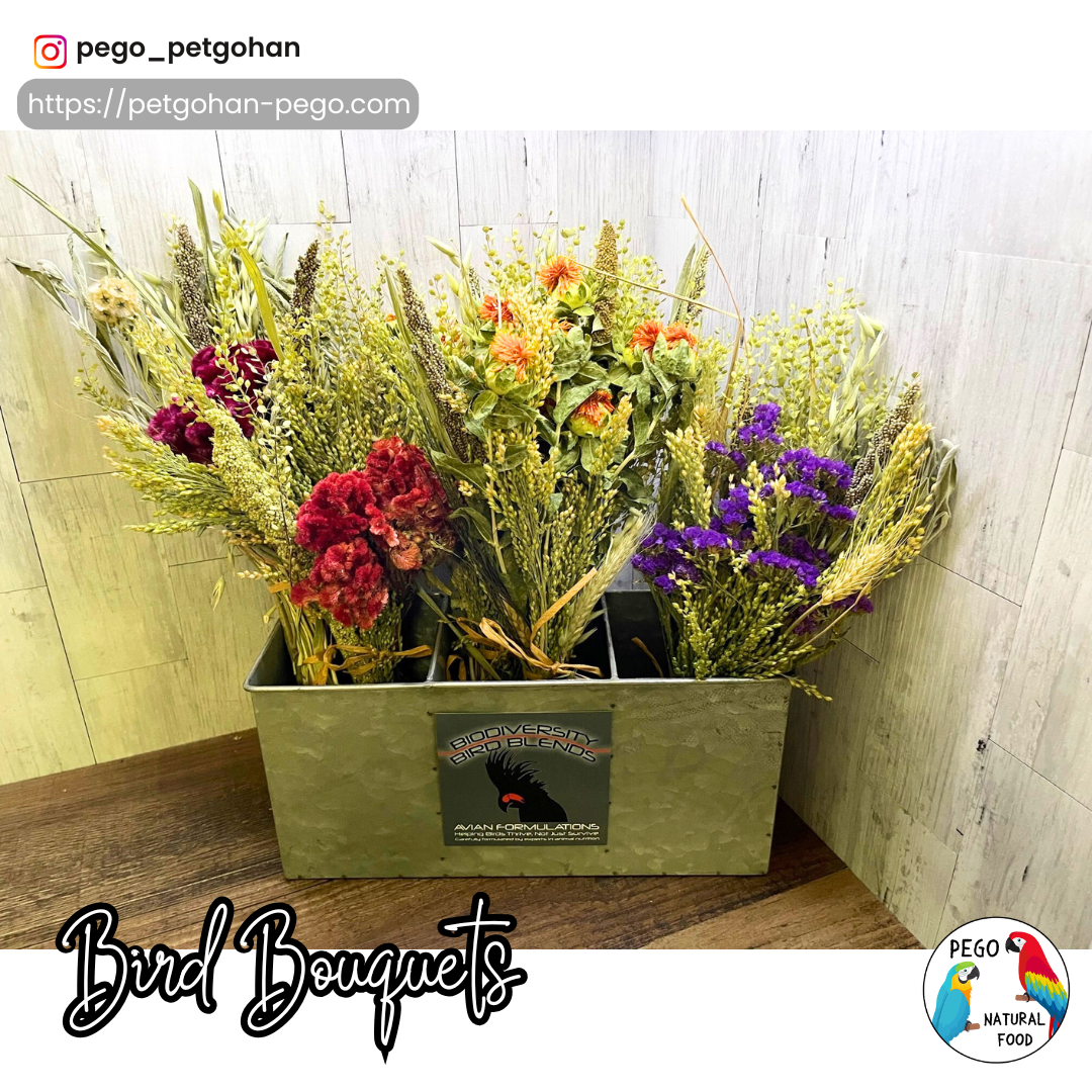 Collection of dried Bird bouquets featuring flowers, grains, and botanicals for Parrot foraging and natural enrichment