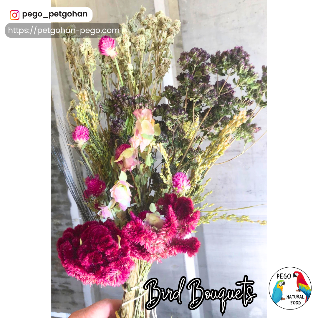 Hand holding a colorful Bird bouquet with deep magenta, pink, purple, and green botanicals for Parrot foraging and natural enrichment