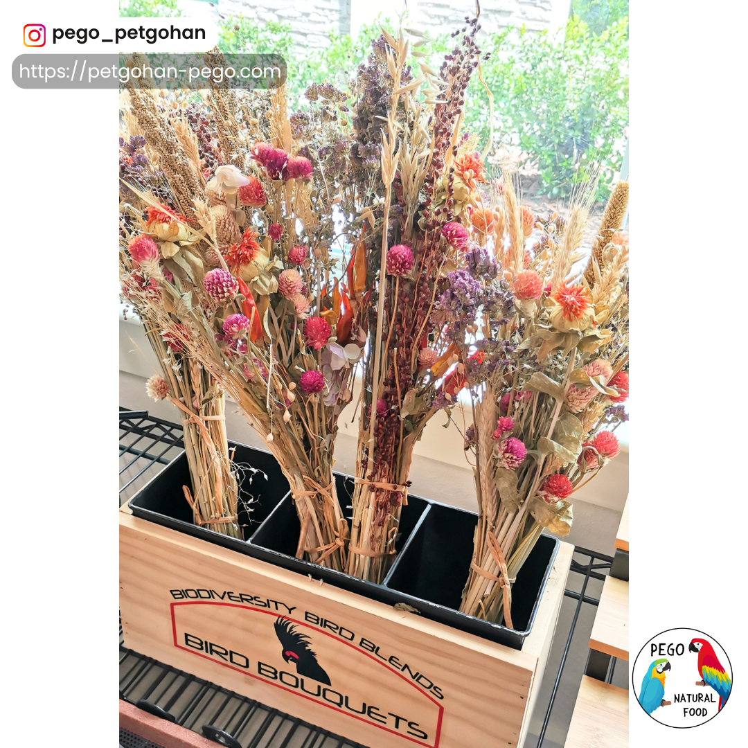Several Bird bouquets arranged upright in a wooden display box, featuring red, orange, and purple botanicals for Parrot enrichment