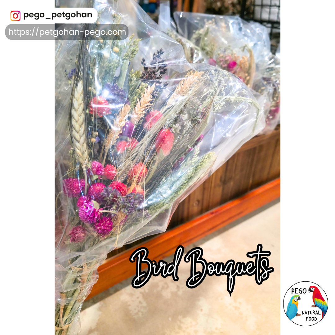Wrapped Bird bouquet in clear packaging with pink blooms, wheat heads, and mixed dried plants for Parrot foraging
