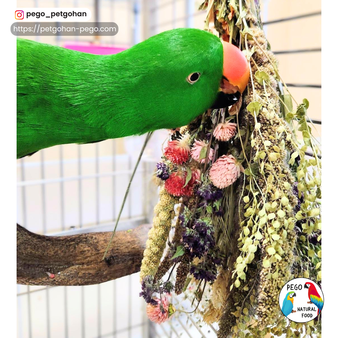 Foraging Bird Bouquets