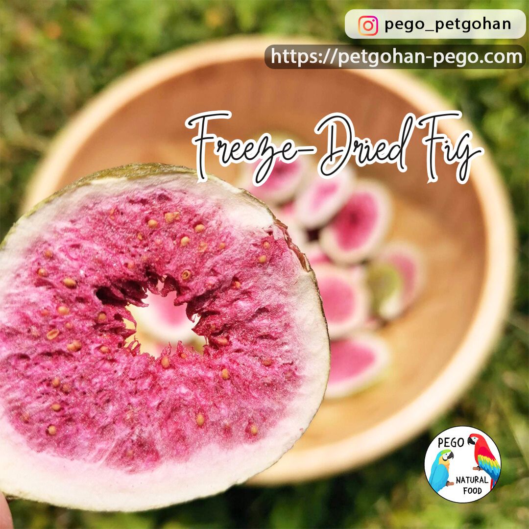 Freeze dried fig