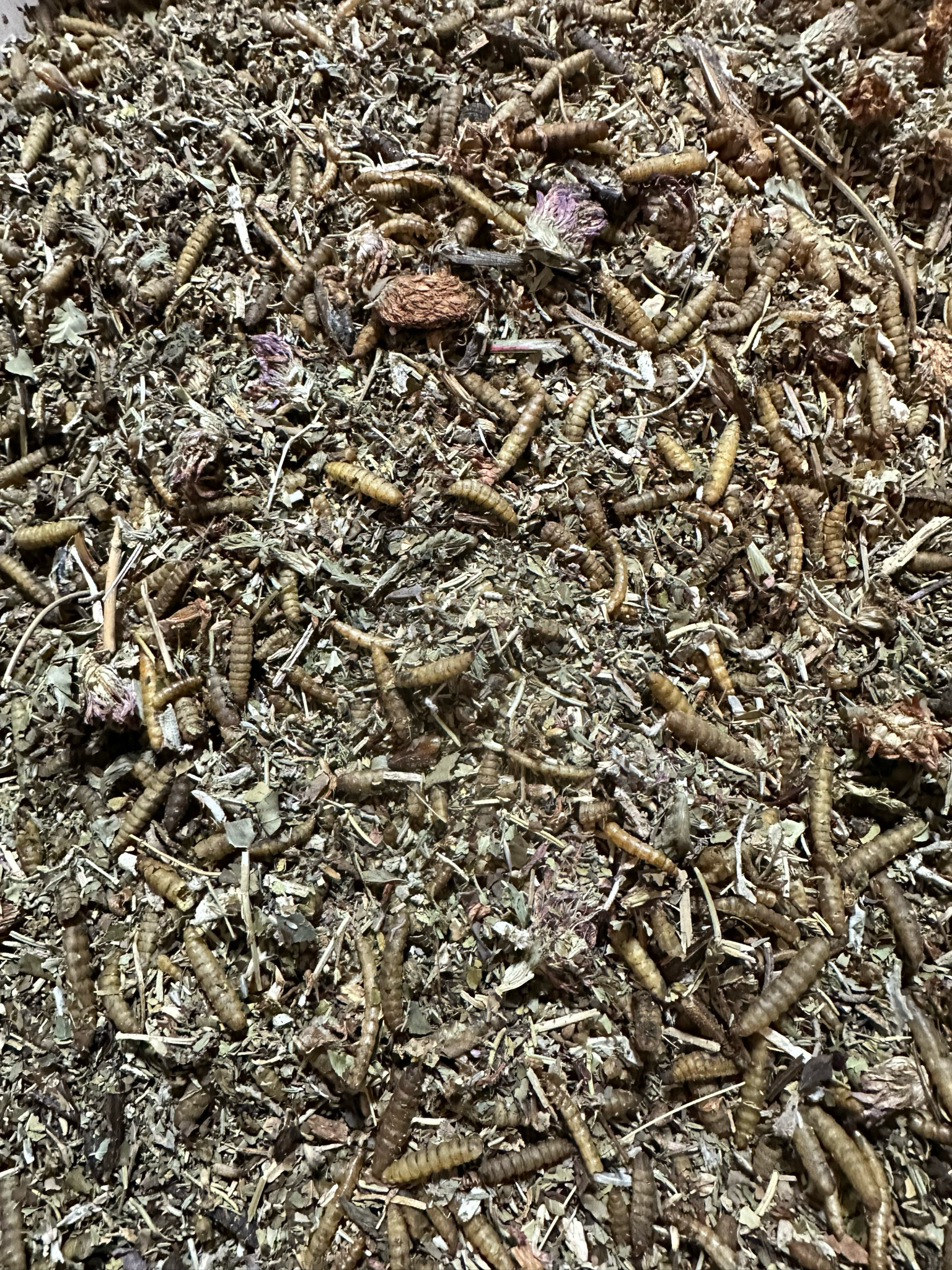Greens-N-Grubs 4oz