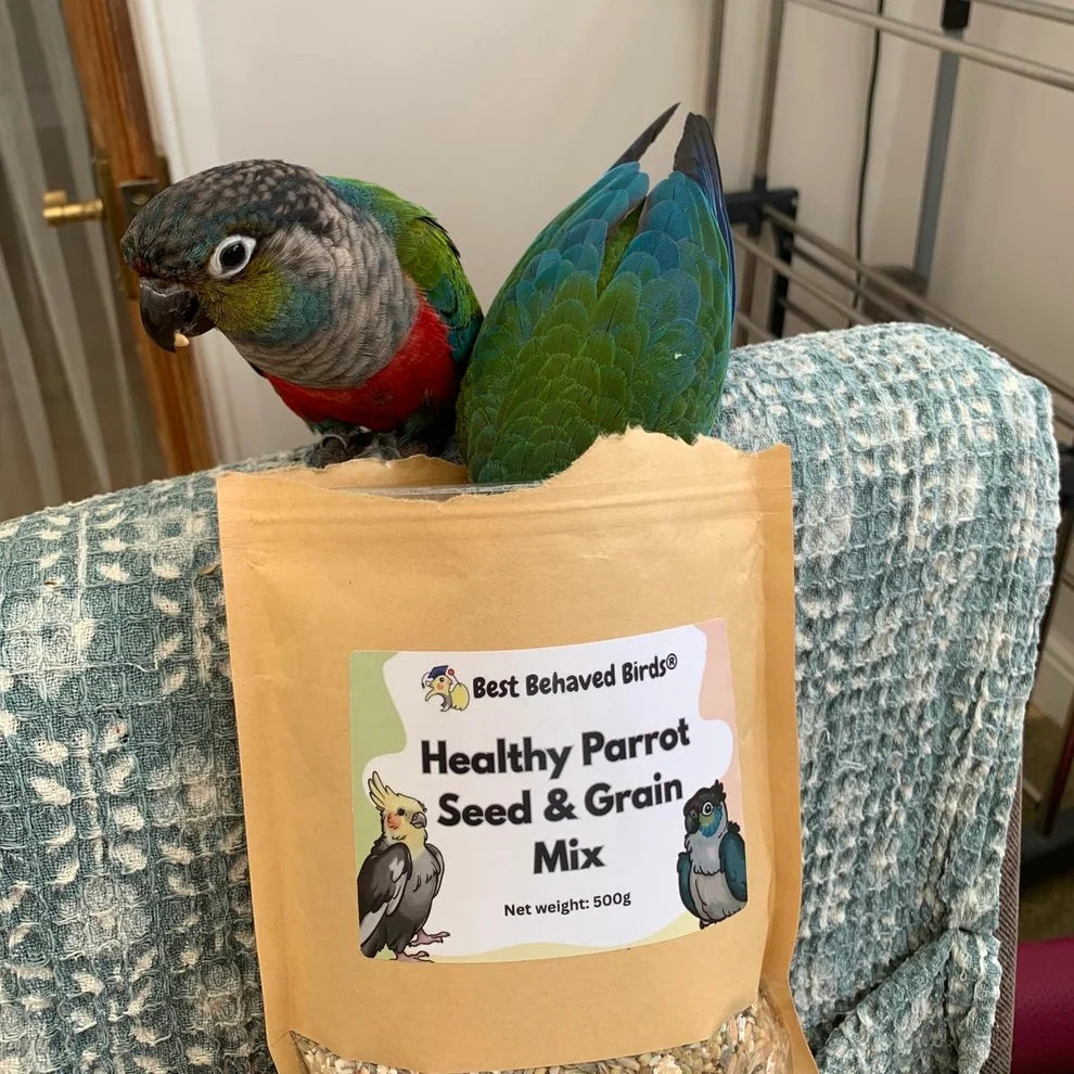 Healthy Parrot Seed and Grain Mix 500g