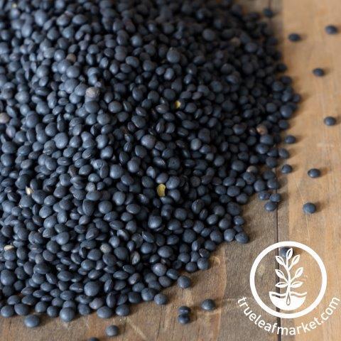 【取り寄せのみ】Seeds／シード各種