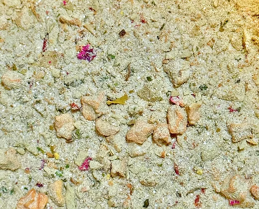 Several lory parrots gathered around a bowl of liquid nectar on top of a metal cage