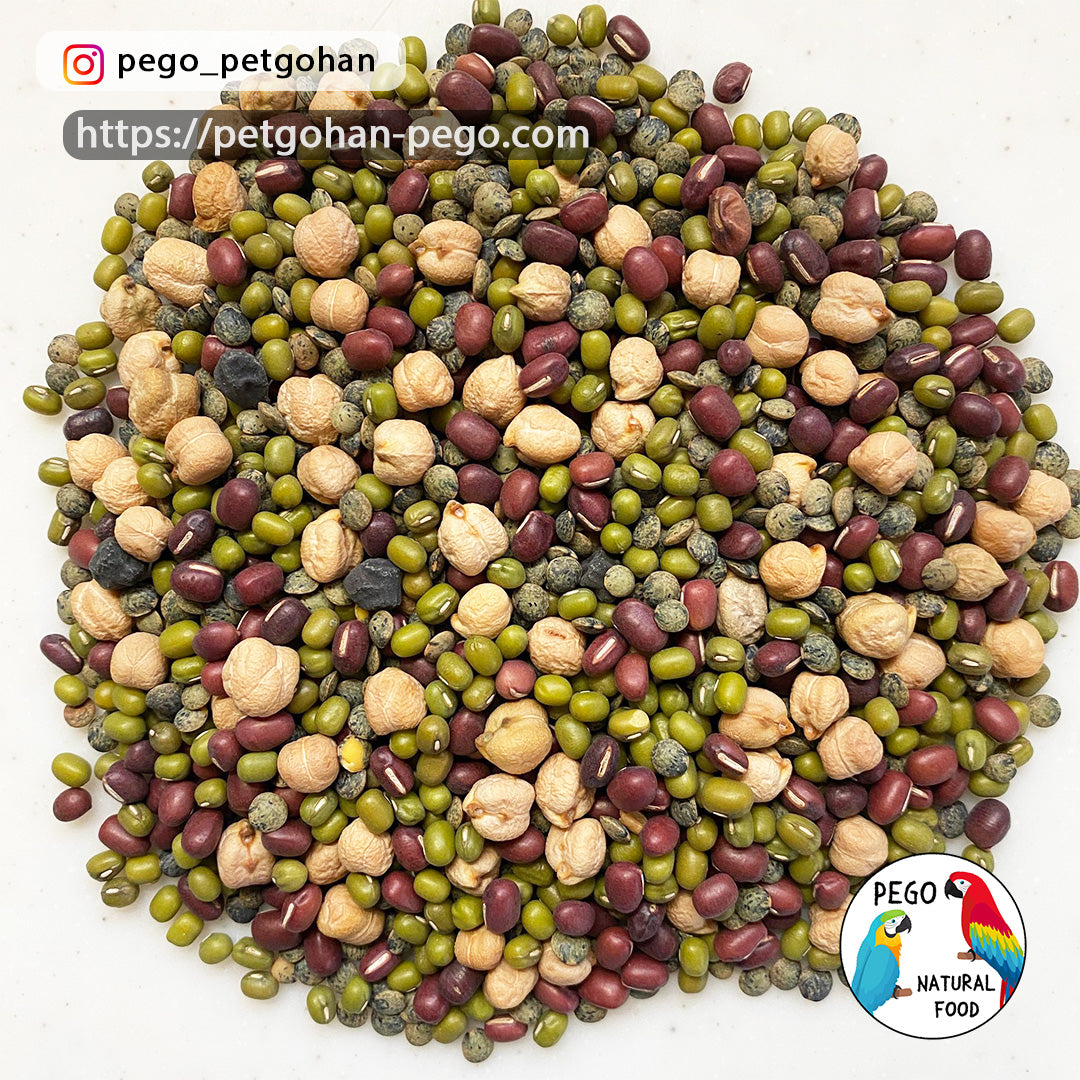 A round mix of mung beans, chickpeas and small legumes used for parrot feeding, showing a natural nutrient-rich food source in detail