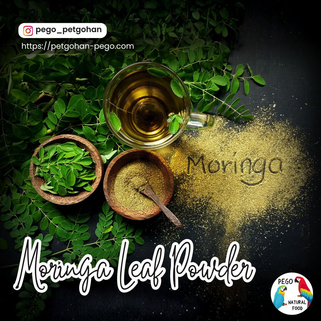 Moringa Powder