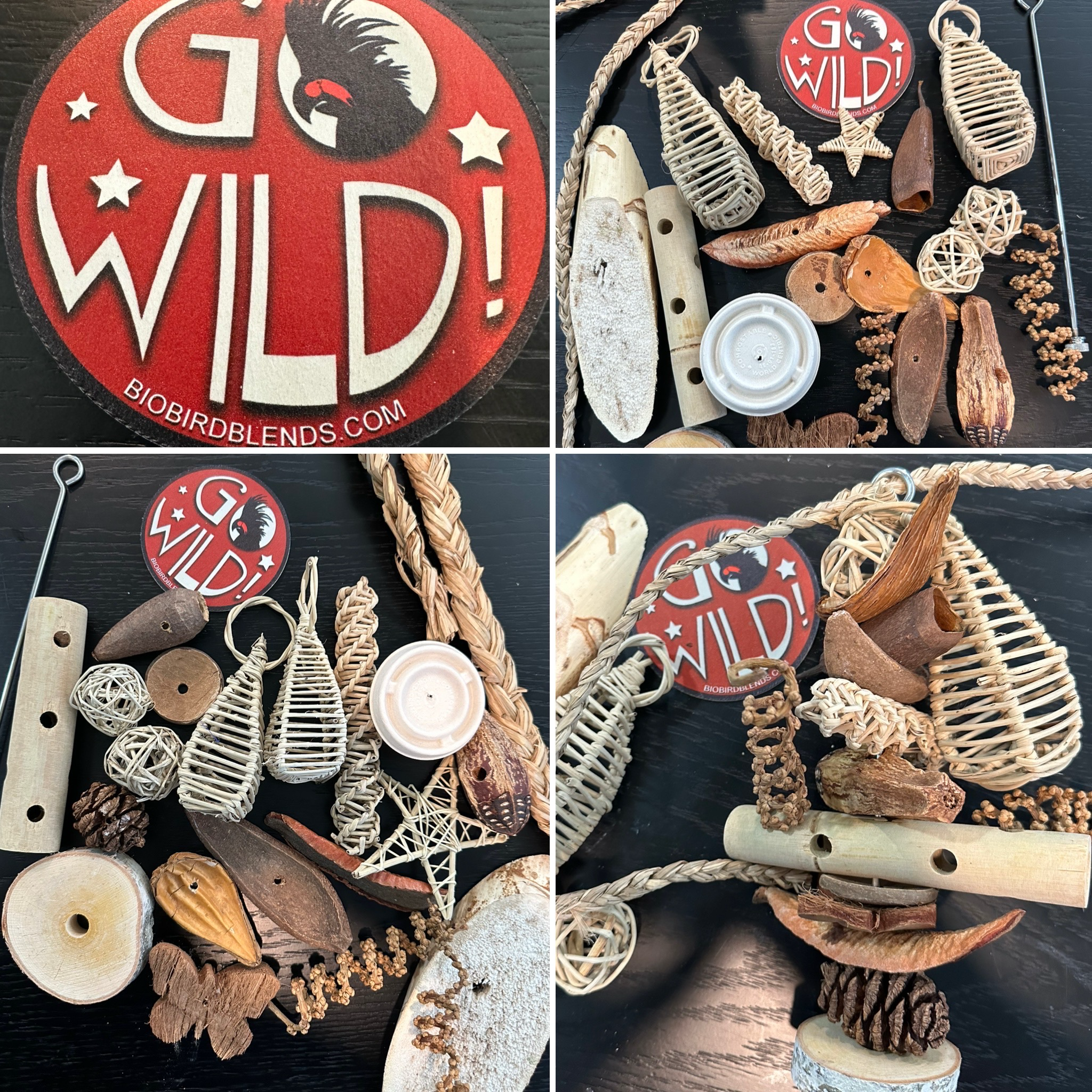 Super skewer biodiversity foraging pack