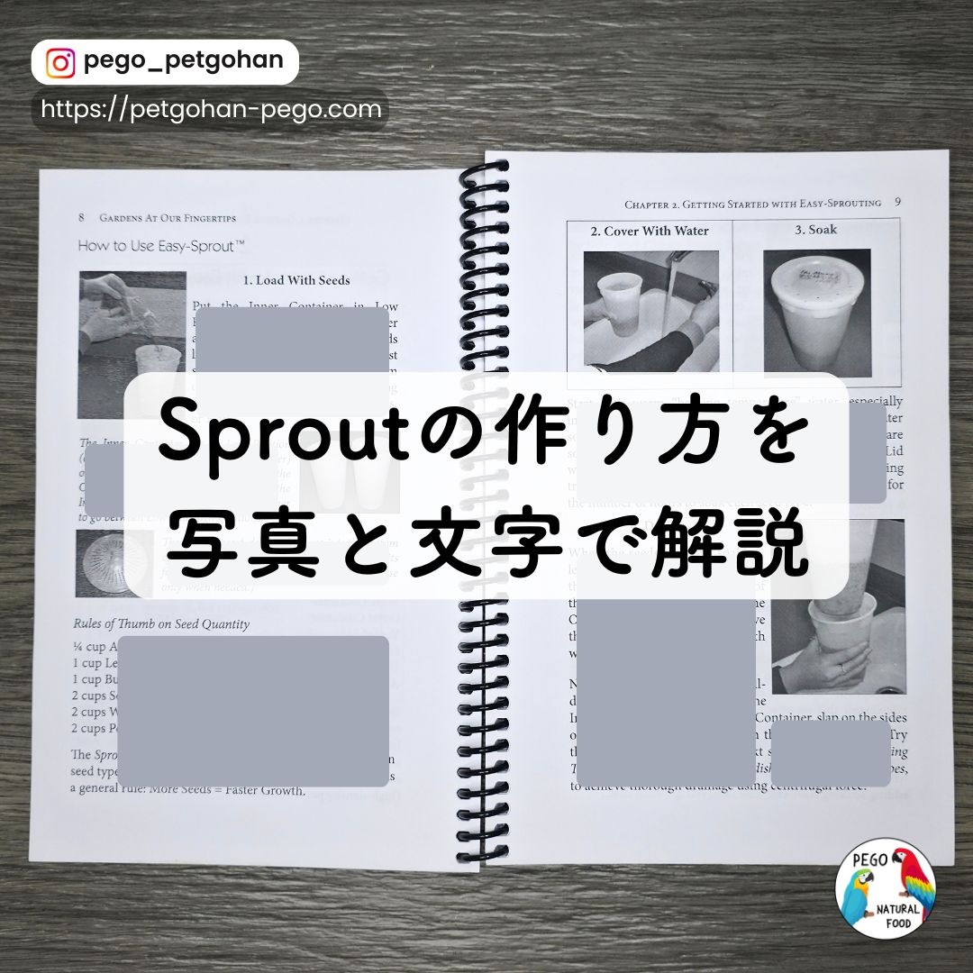 発芽容器／Easy Sprout Sprouter