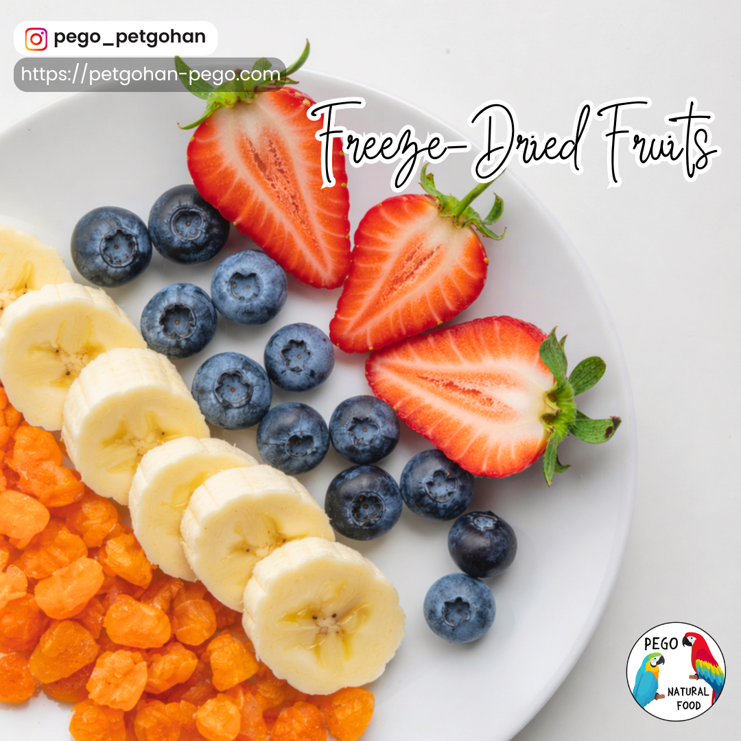 Freeze-dried fruits for parrots including strawberry, blueberry, banana, and apricot, arranged on a plate, natural whole food treat for birds without additives