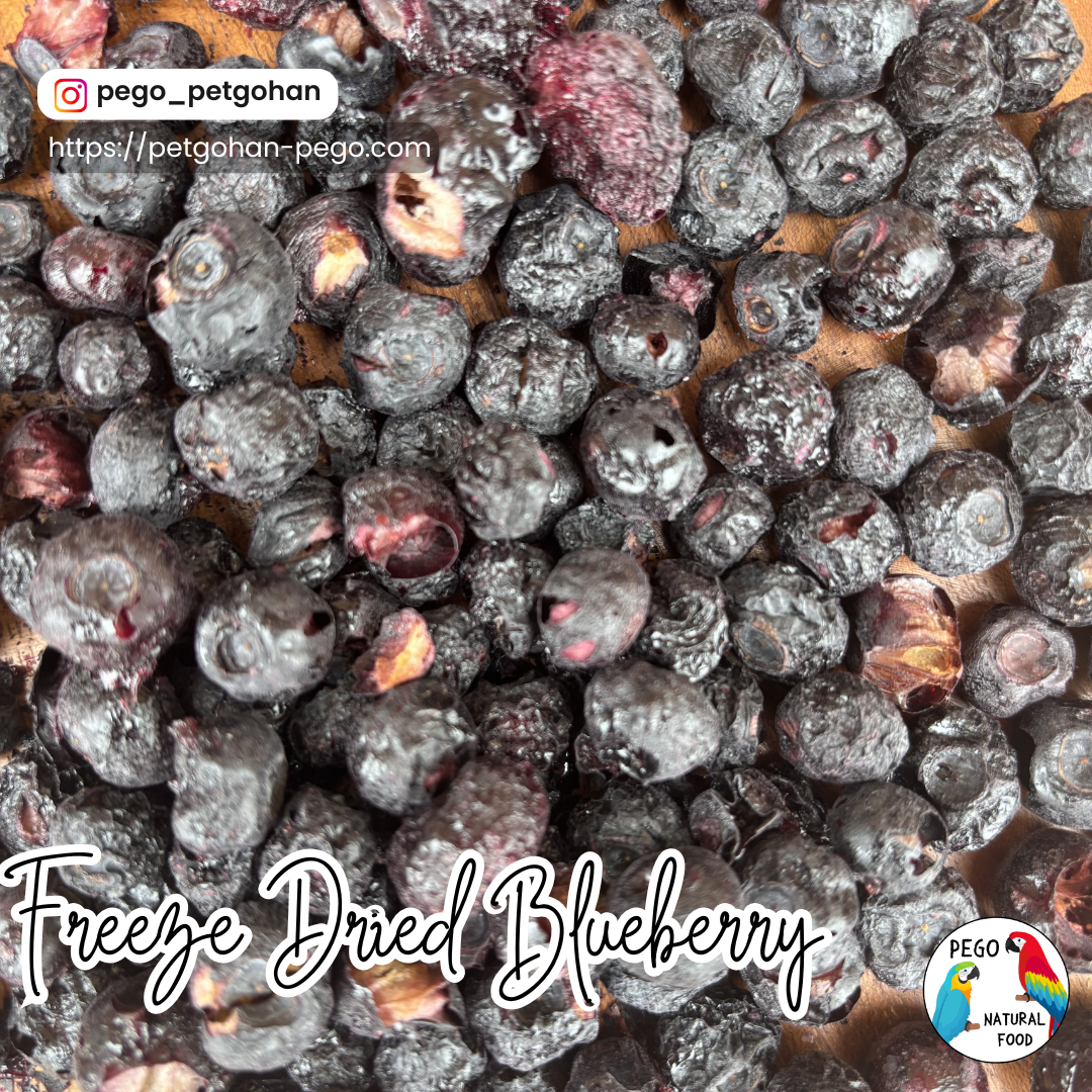 Freeze Dried Fruits